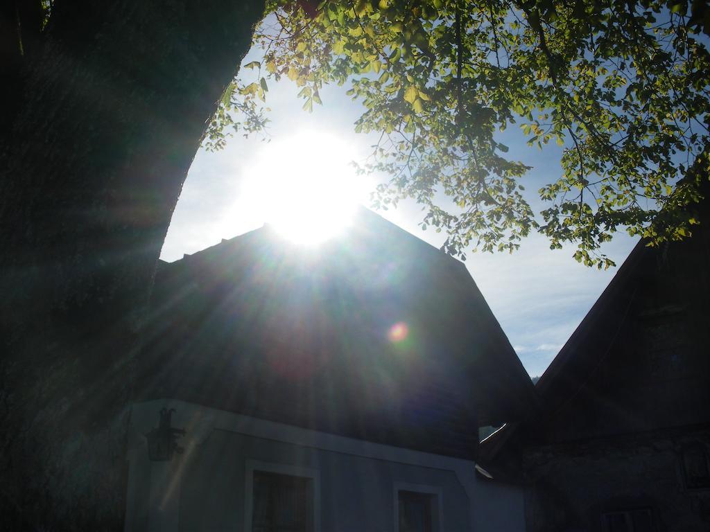 Bio-Bauernhof Kurzeck Vila Göstling an der Ybbs Exterior foto