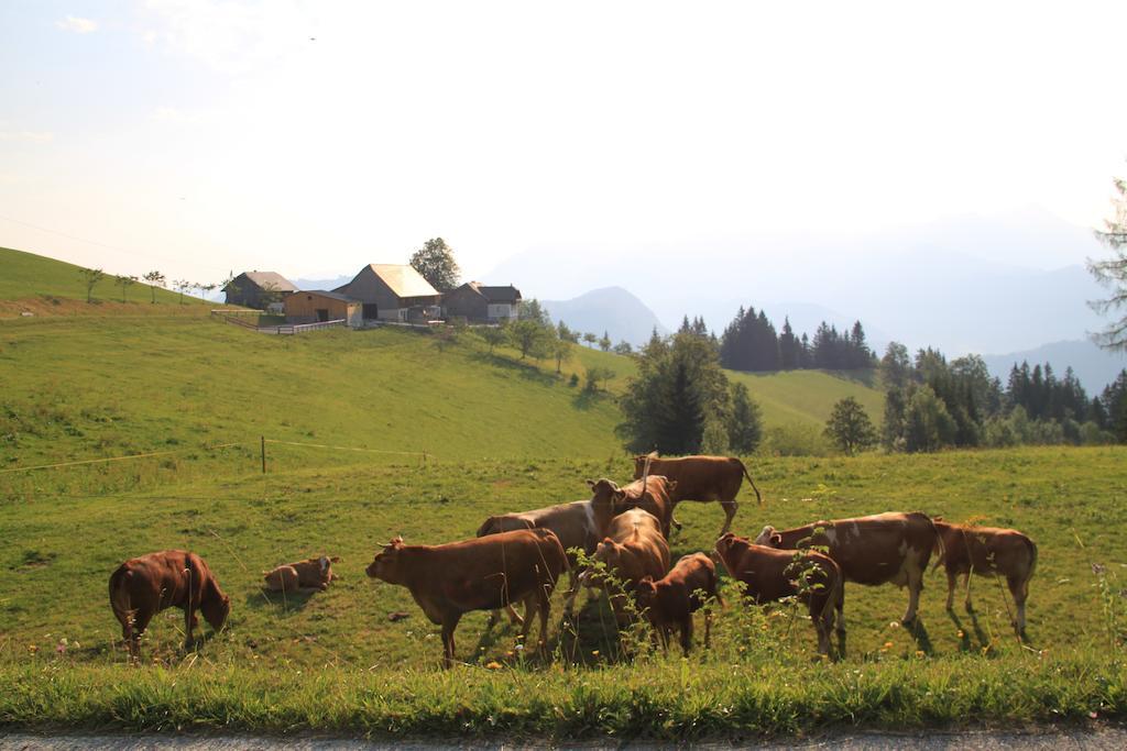 Bio-Bauernhof Kurzeck Vila Göstling an der Ybbs Exterior foto