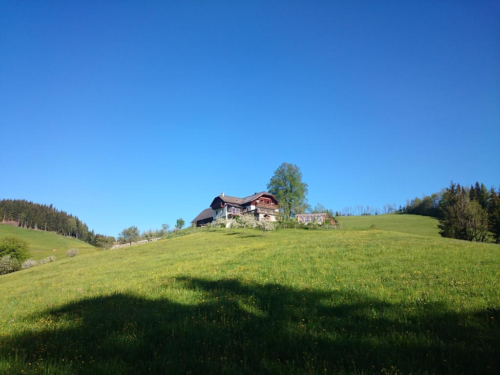 Bio-Bauernhof Kurzeck Vila Göstling an der Ybbs Exterior foto