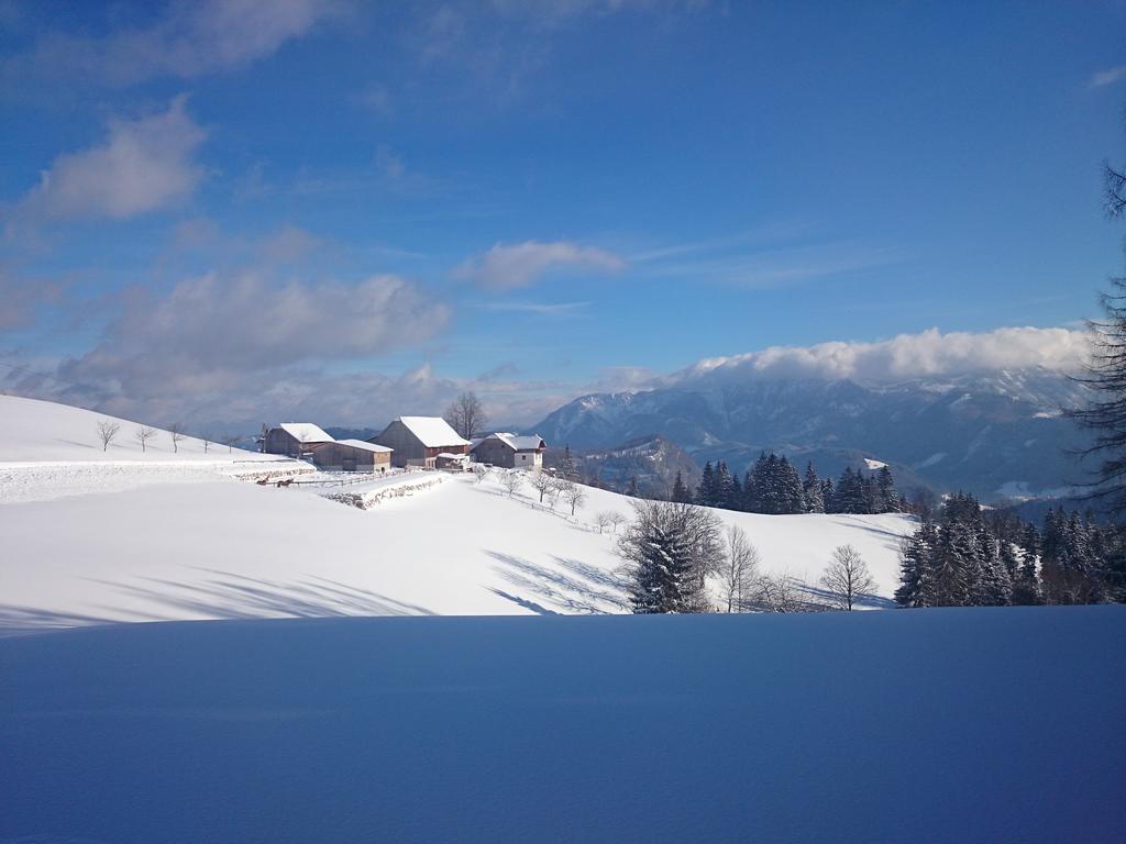 Bio-Bauernhof Kurzeck Vila Göstling an der Ybbs Exterior foto