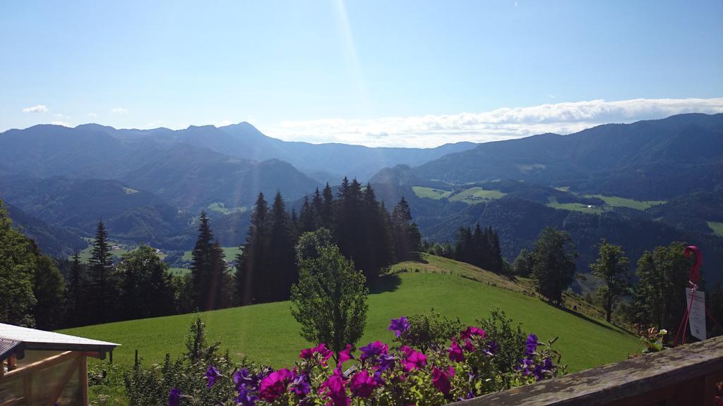 Bio-Bauernhof Kurzeck Vila Göstling an der Ybbs Exterior foto